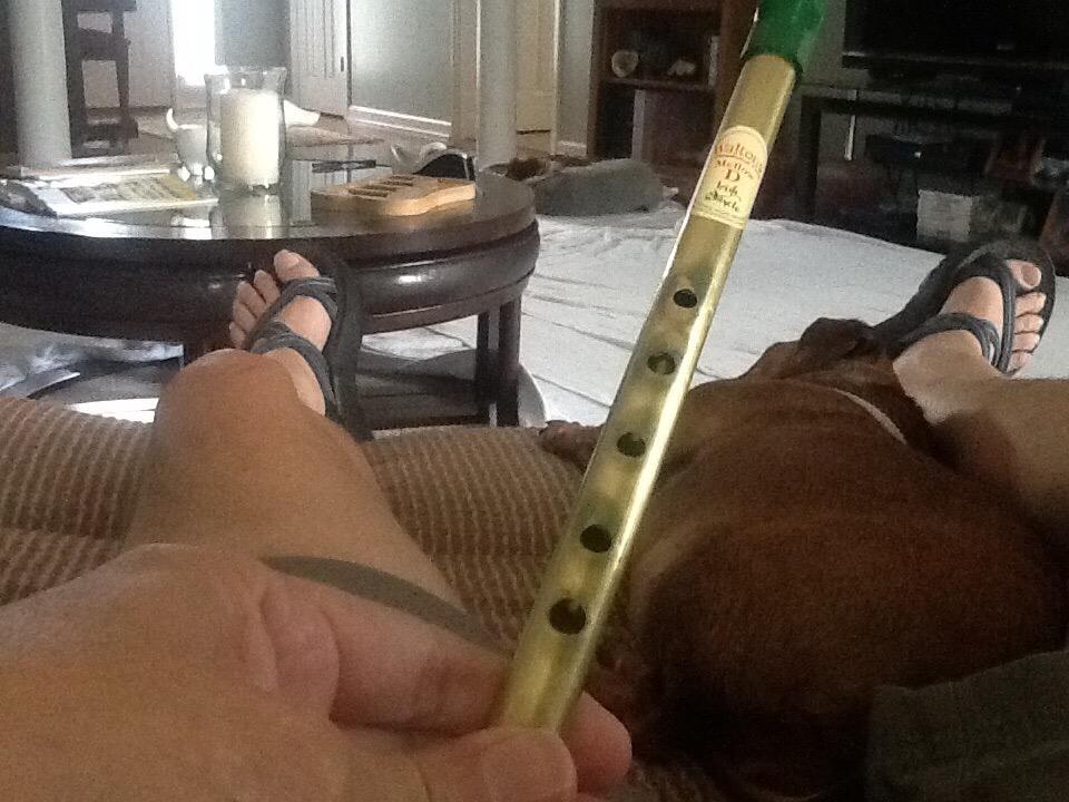 Waltons WM1521 Wide Barrel Irish Tin Whistle, Mellow D customer photo 1