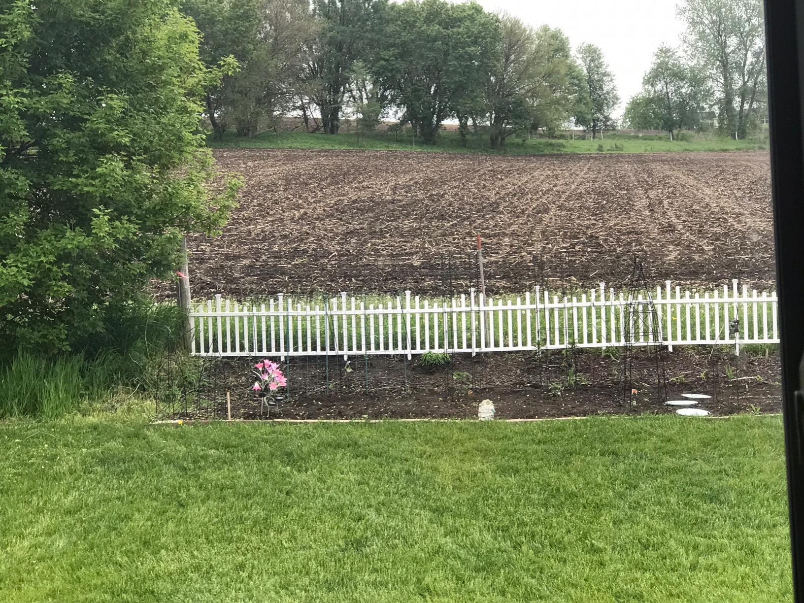 2.5ft H x 4.7ft W (2 Panels) No Dig Zippity Madison Fence Panel Kit, No Dig Panels, White Vinyl Fencing for Yard, Temporary Barrier for Backyard, White Picket Garden Border, DIY Enclosure ZP19001 customer photo 2