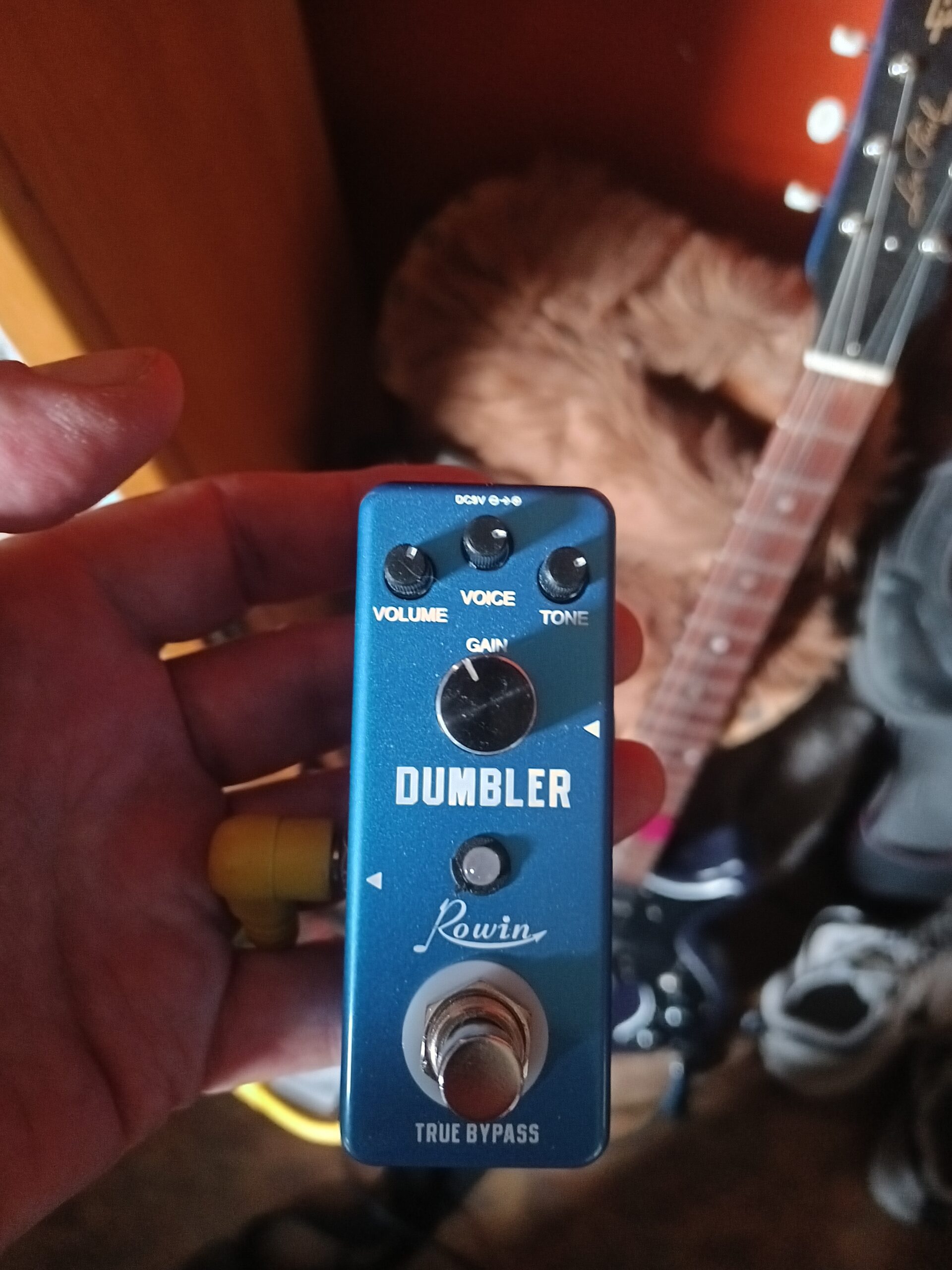 Rowin Analog Dumbler Overdrive Pedal for Guitar and Bass True Bypass customer photo 1