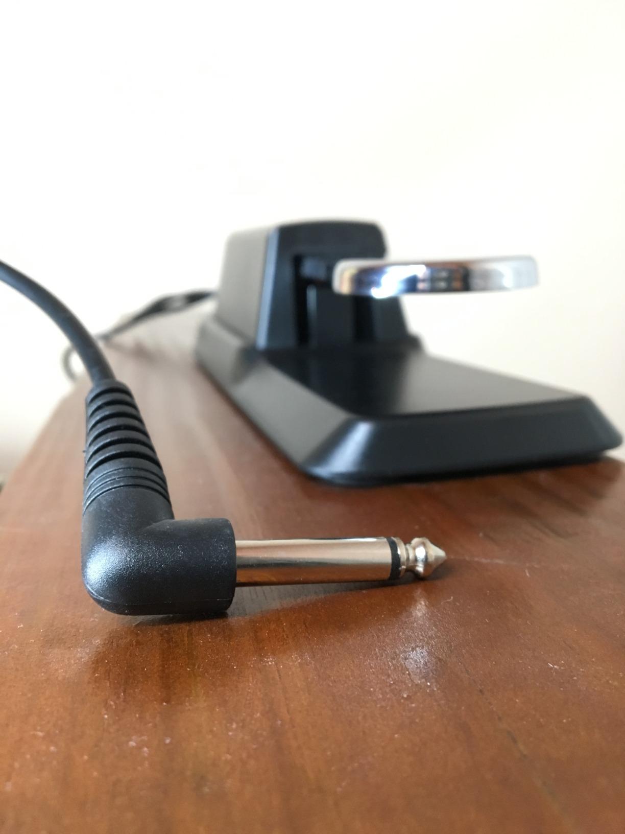 Donner DSP-001 Sustain Pedal for Keyboard, Universal Piano Pedal with Polarity Switch, 1/4'' (6.35mm) Input Plug, 63'' (1.6m) Cable customer photo 1