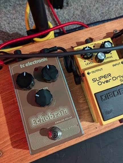 TC Electronic EchoBrain Analog Delay customer photo 1