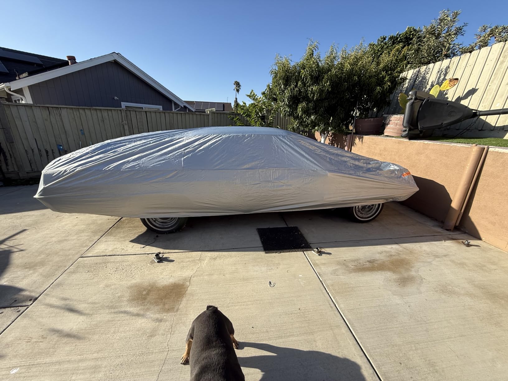 Kayme Truck Cover Waterproof All Weather - Heavy Duty Outdoor Pickup Cover Sun UV Rain Protection, Universal Fit Most Extended Cab Short Bed customer photo 1