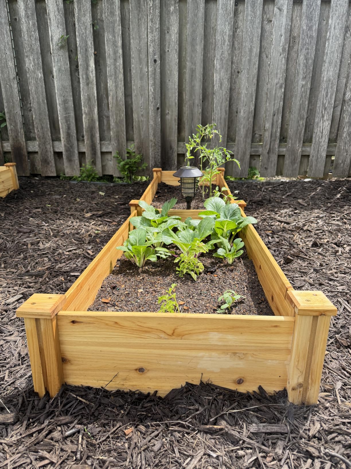 Yaheetech 8x2ft Wooden Horticulture Raised Garden Bed Divisible Elevated Planting Planter Box for Flowers/Vegetables/Herbs in Backyard/Patio Outdoor, Natural Wood, 95 x 25 x 11in customer photo 2