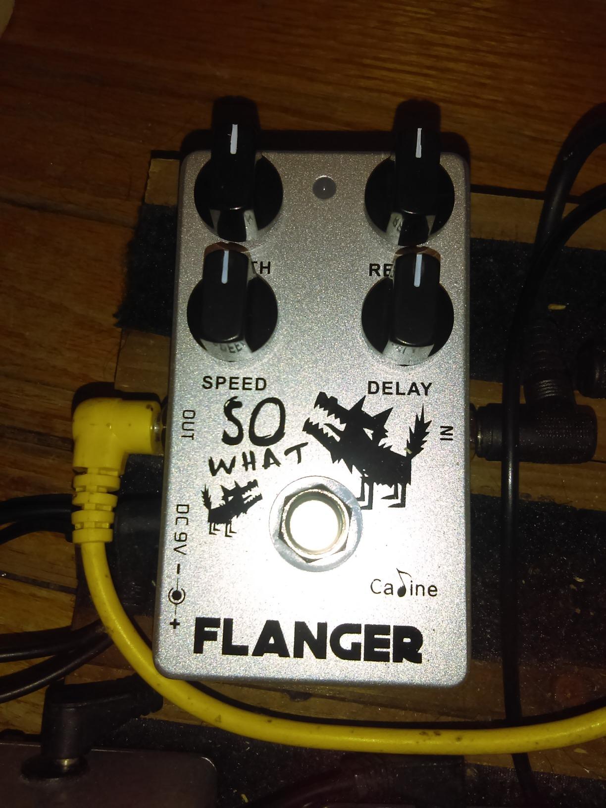 Caline CP-66 Classic Flanger Guitar Effects Pedal customer photo 2