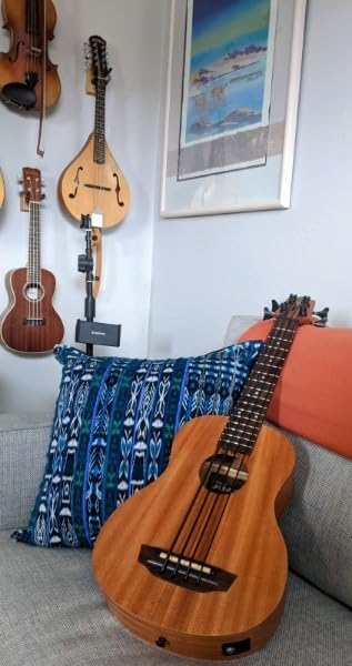 Nomad Acoustic-Electric U-BASS customer photo 1