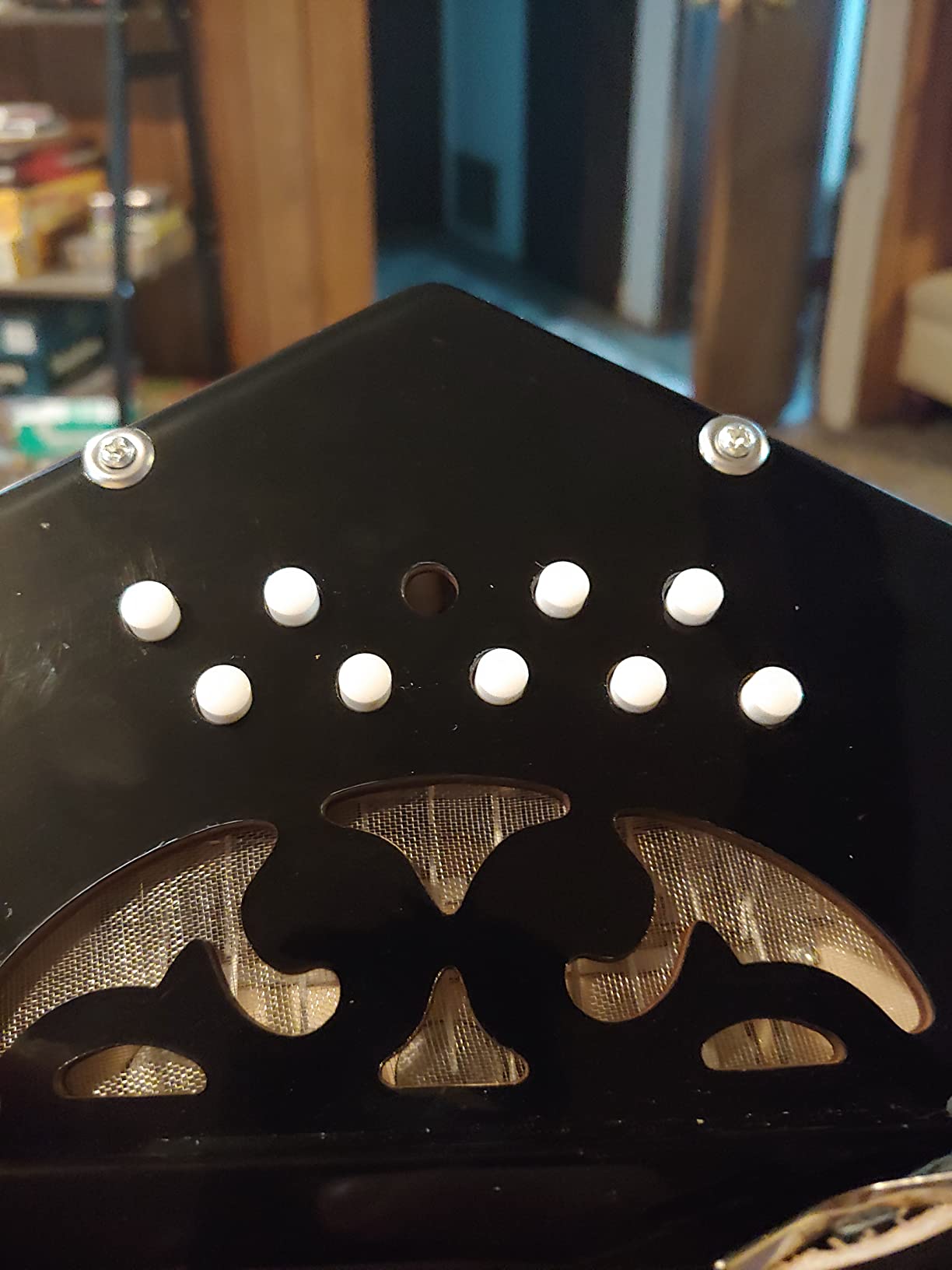 Trinity College AP-1120A Anglo Concertina - 20-Button, 2.5-Octave Range customer photo 2