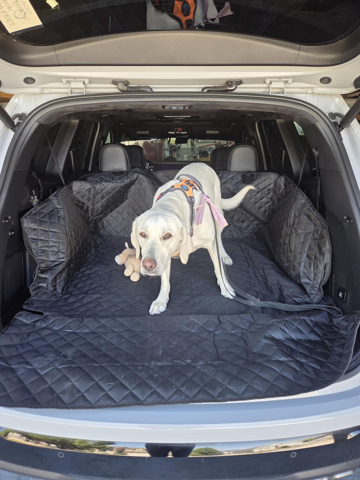 PETICON SUV Cargo Liner for Dogs, Waterproof Trunk Cover for SUVs with Bumper Flap Protector, Scratchproof Durable 600D Oxford Fabric, Non-Slip, Machine Washable customer photo 1