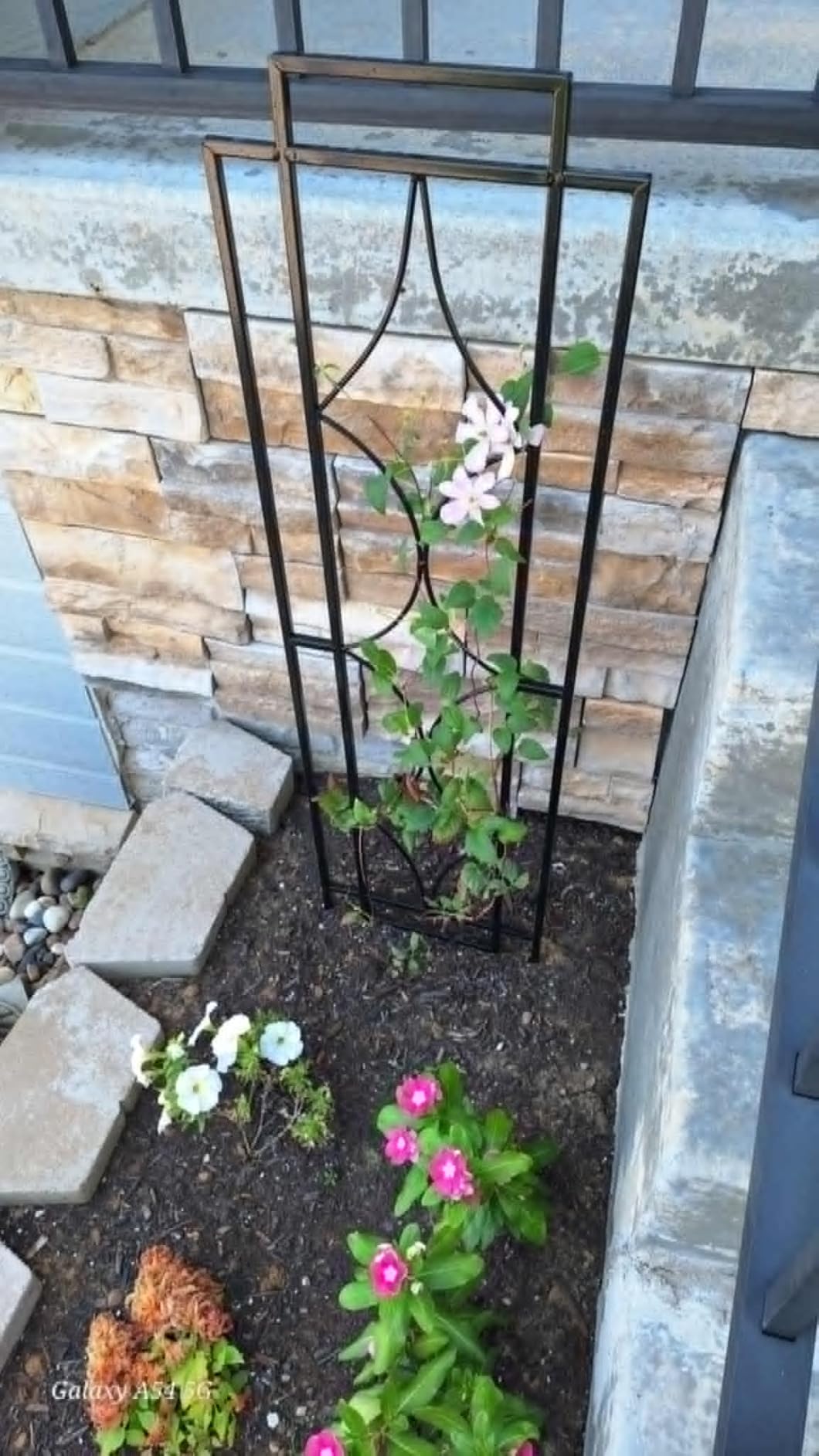 Sunnydaze 2-Piece Chic Diamonds Garden Trellis for Climbing Plants - Outdoor Decorative Metal Flower Trellis - 48-Inch Tall - Black customer photo 1