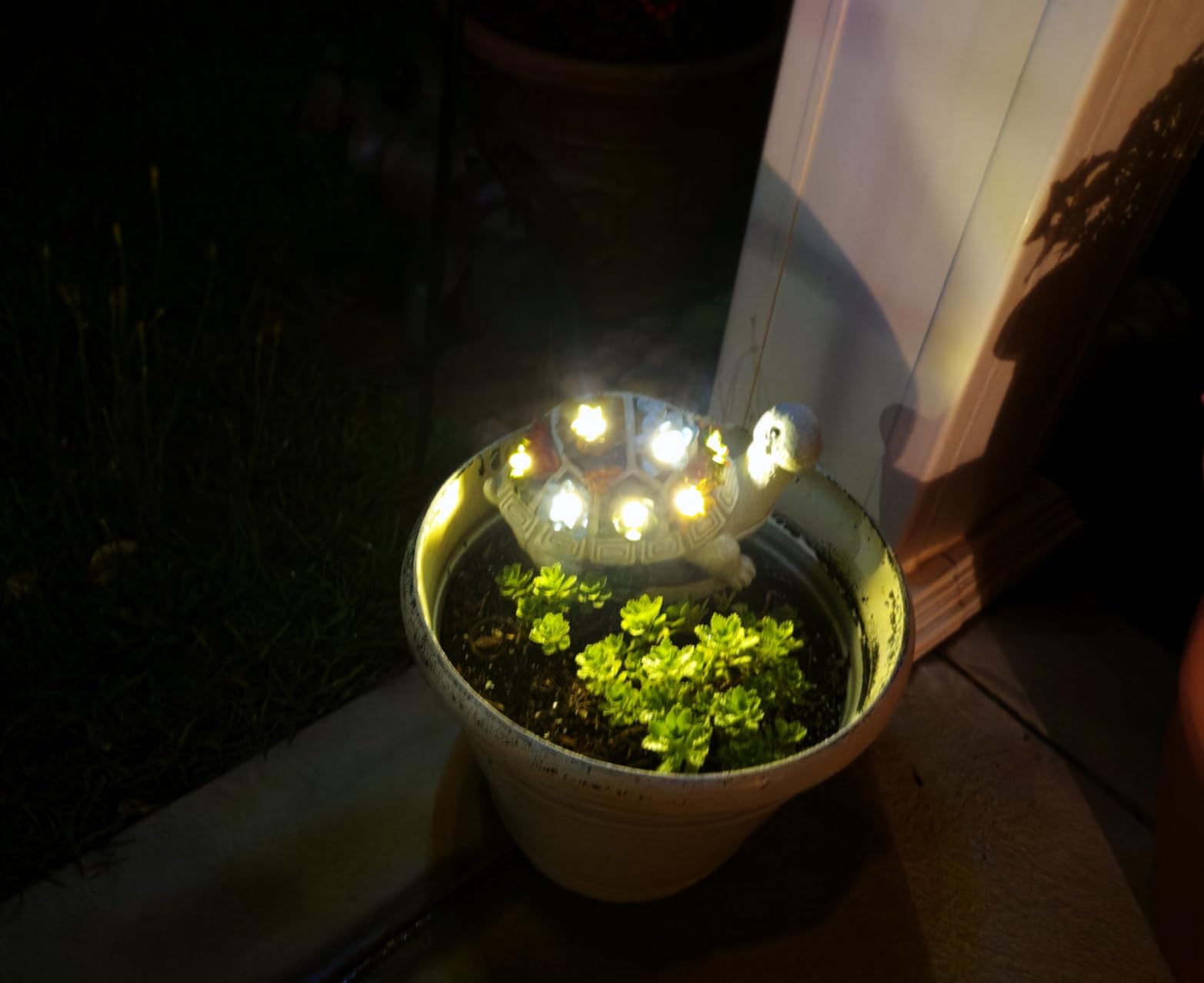 Nacome Solar Garden Outdoor Statues Turtle with Succulent and 7 LED Lights - Lawn Decor Statue for Patio, Balcony, Yard Ornament customer photo 1
