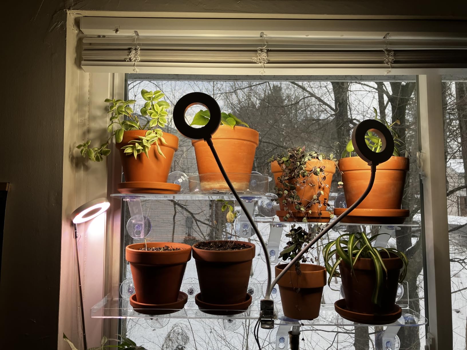 15 Inch Suction Cup Shelf for Plants Window, 6IN Extra Wide with Load-Bearing Brackets Window Shelf for Plants, Acrylic Sill Extender for Growing Herbs, Micro Vegetables, Succulents, Clear-1 customer photo 1