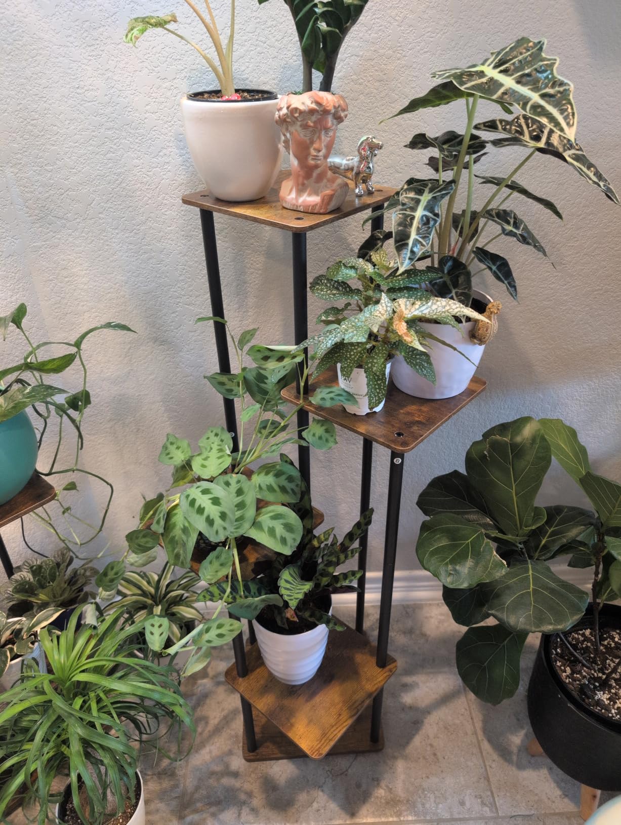 AZERPIAN Plant Stand 5 Tier Indoor Metal Flower Shelf for Multiple Plants Corner Tall Flower Holders for Patio Garden Living Room Balcony Bedroom, Black (5 Tier-Black) customer photo 2