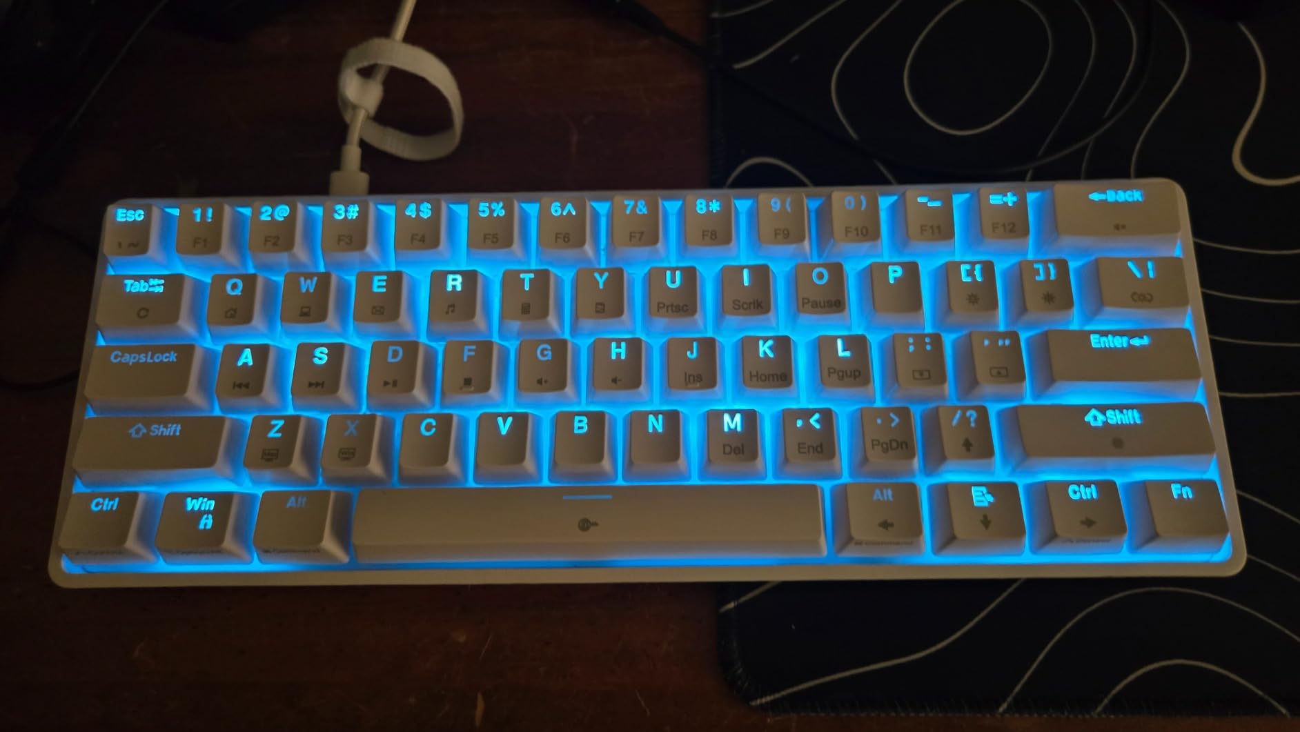 DIERYA 60% Mechanical Keyboard, DK61se Wired Gaming Keyboard with Red Switches, LED Backlit Ultra-Compact 61 Keys Mini Office Keyboard for Windows Laptop PC Gamer Typist (White) customer photo 2
