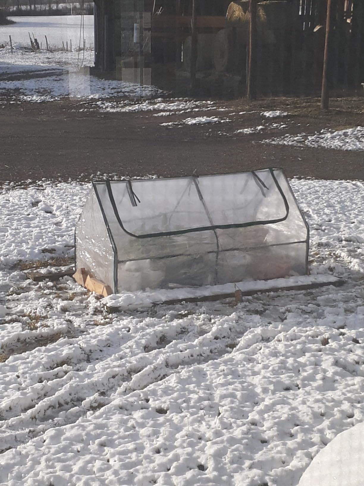 S AFSTAR Raised Garden Bed with Cover, 6FT x 3FT x 3FT Galvanized Bottomless Garden Bed with Greenhouse, Dual 2-Tier Roll-Up Windows, Easy Venting & Watering, Outdoor Metal Planter Box Kit with Cover customer photo 2