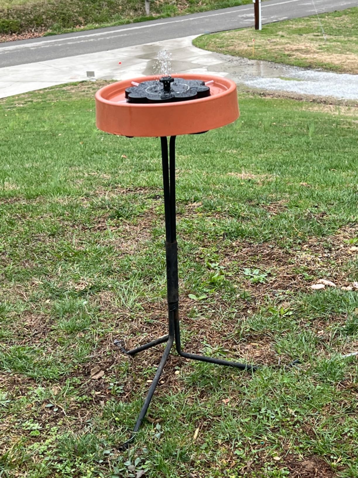 3.5W Solar Fountain with 2000mAh Battery - Work On Cloudy Day- Upgrade Lucky Flower Glass Panel Solar Bird Bath Fountains, Hummingbird Water Fountain Pumps for Birdbath, Pool, and Pond customer photo 2