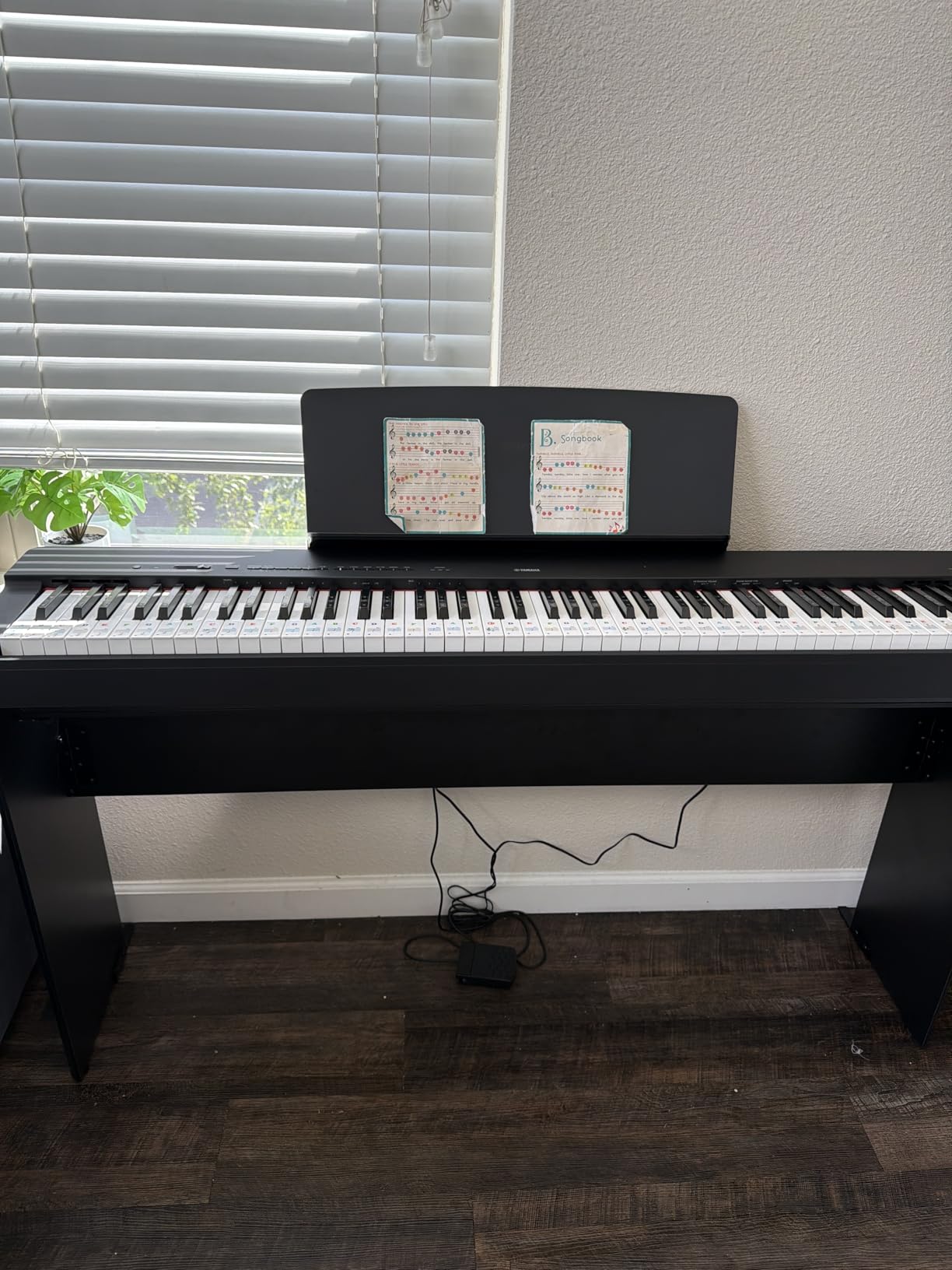 Yamaha P225 88-Key Digital Piano with Weighted Keys, Portable Design, Built-In Speakers, Black (P225B) customer photo 2