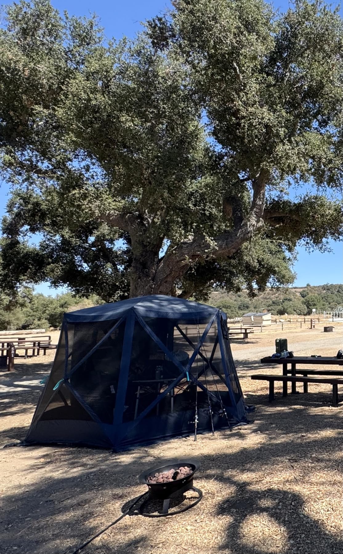 TIMBER RIDGE Easy Pop Up Gazebo Canopy Tent for Camping, 11.5 X 9.8 Ft Portable Instant Screened House, Pop Up Canopy with Netting for Backyard, Patio, Outdoor, Tailgating, Picnics, Blue customer photo 2