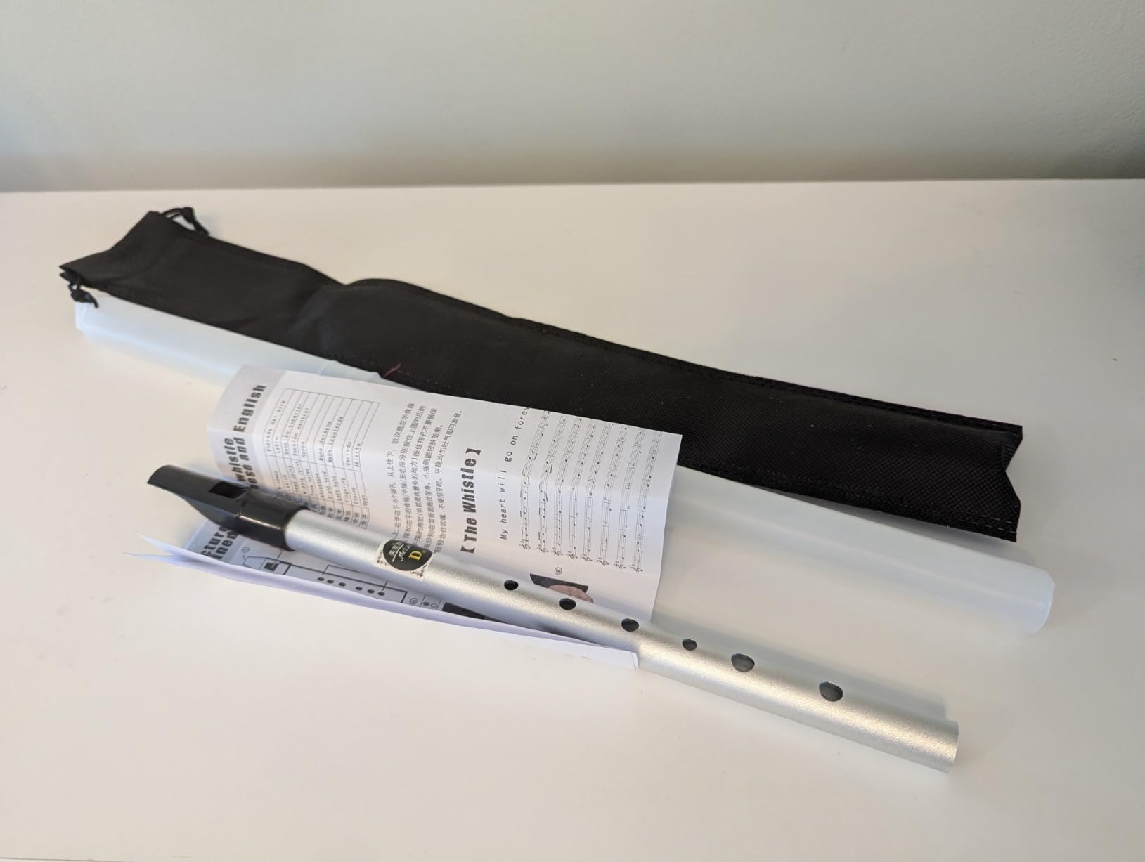Irish Tin Whistle in D Key with Music Book & Bag, 6-Hole Traditional Penny Whistle Flute for Adults & Beginners, Brass Wind Instrument for Celtic Folk Music (Silver) customer photo 1