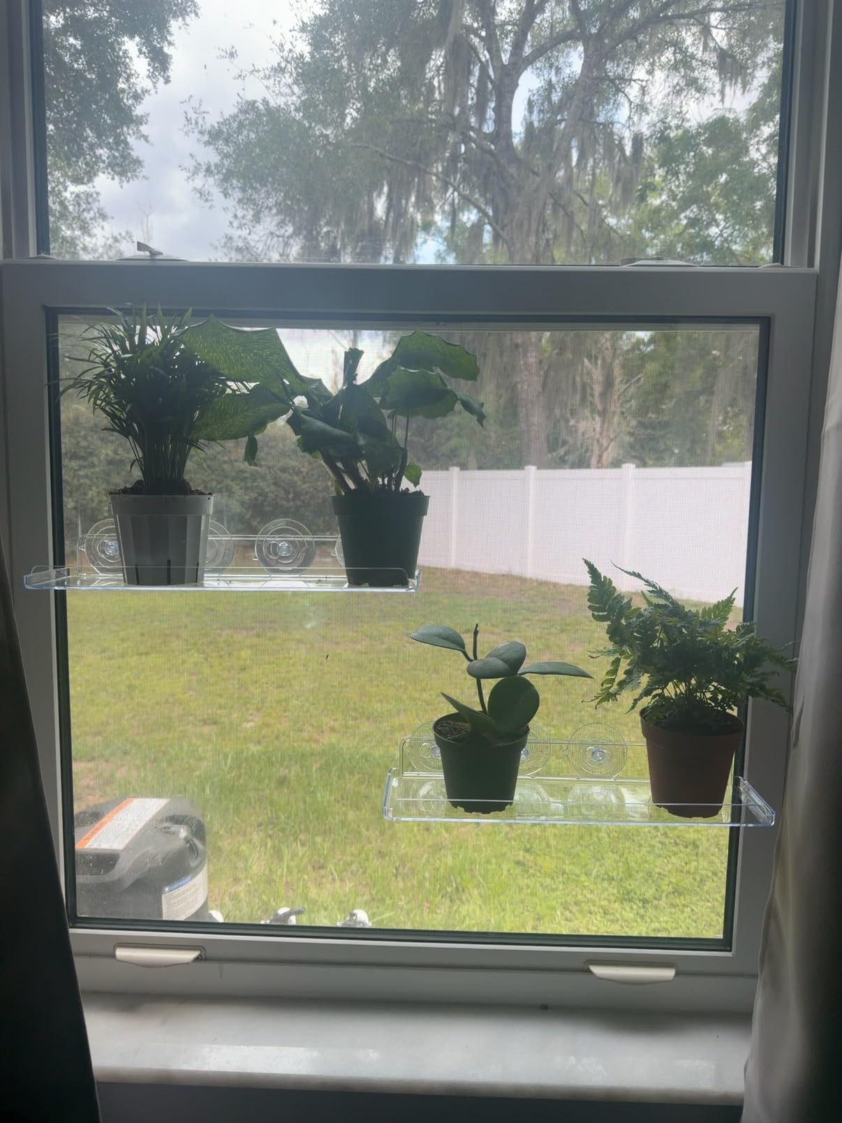 Lifewit Window Plant Shelves 14.6