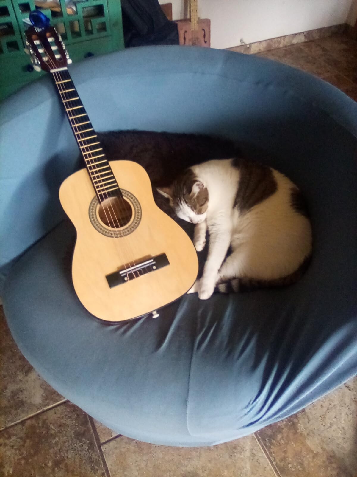 Pyle Classical Guitar Starter Kit - 39