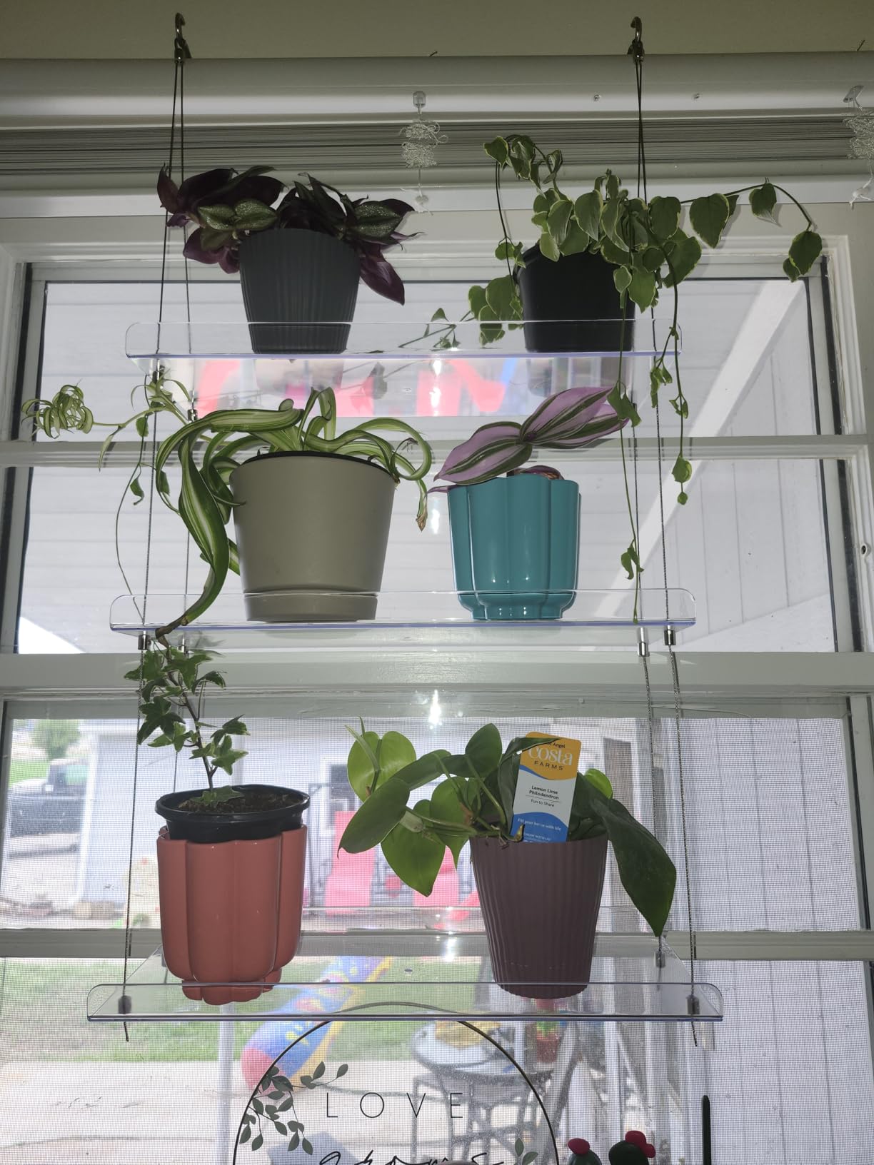 Lifewit 3-Tier Window Plant Shelves 15