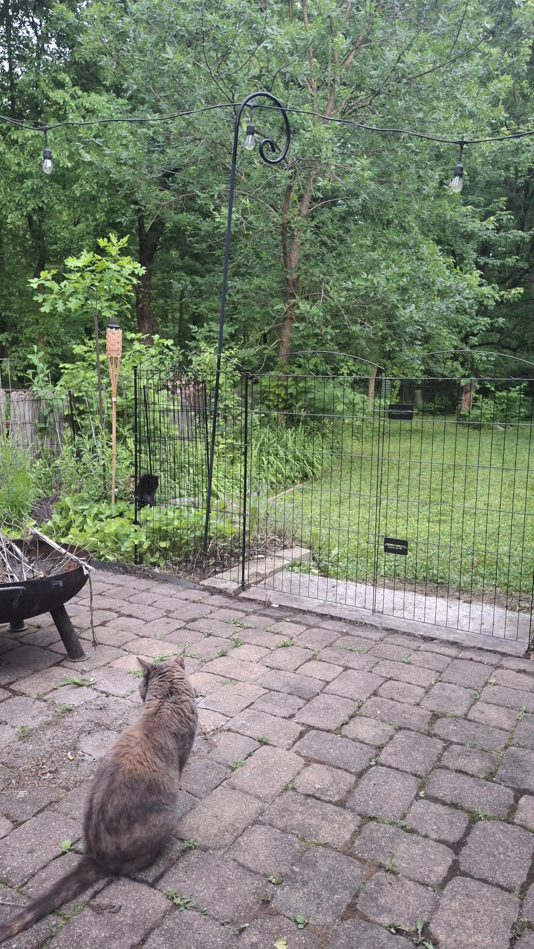 12 Panel No Dig Decorative Garden Fence with Gate - 42in H x 25.67 ft L, Tall Animal Barrier for Dogs Rabbits, Rustproof Metal Wire Panels for Yard, Patio, and Outdoor Border Use customer photo 1