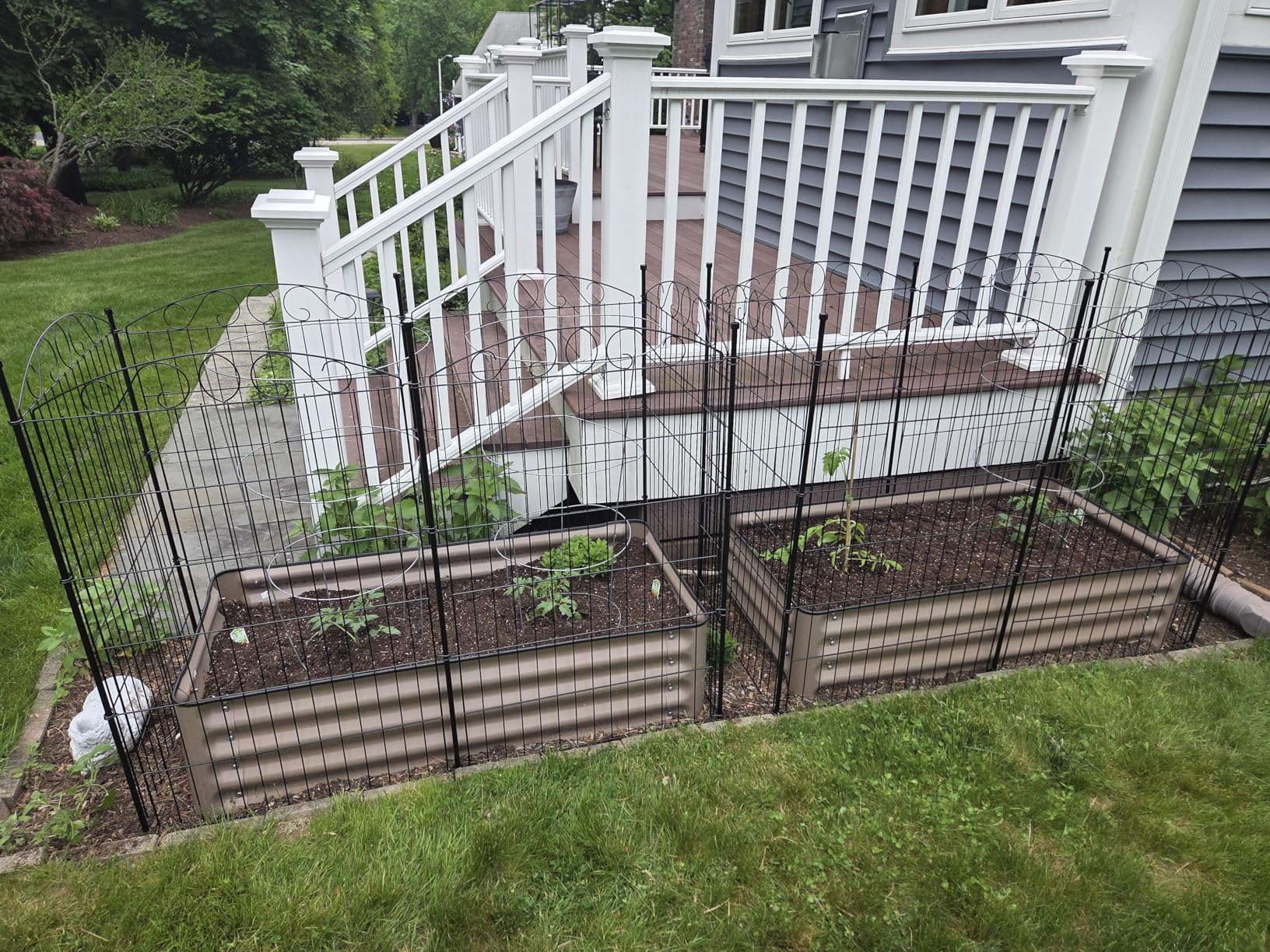 12 Panel No Dig Decorative Garden Fence with Gate - 42in H x 25.67 ft L, Tall Animal Barrier for Dogs Rabbits, Rustproof Metal Wire Panels for Yard, Patio, and Outdoor Border Use customer photo 2