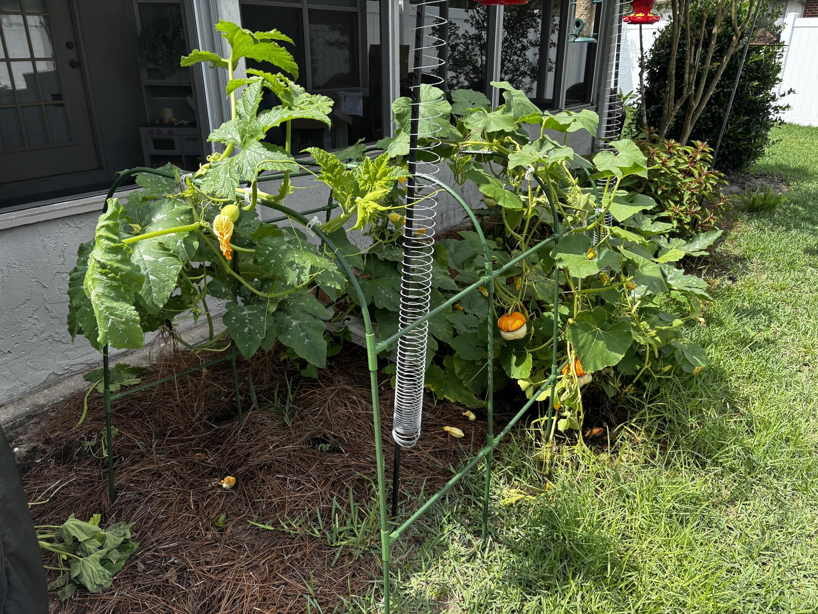 Cucumber Trellis for Raised Bed, U-Shape Garden Trellis for Climbing Plants Outdoor, Metal Arch Vegetables Trellis, Plant Support for Vine (Green, 63