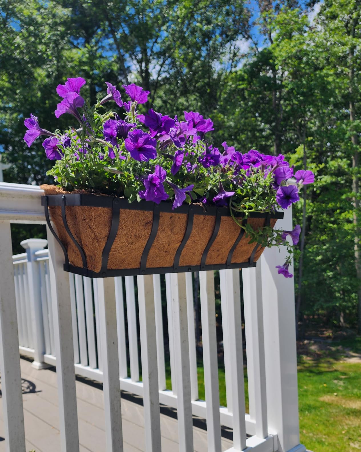 VOXOR Railing Planter Boxes, Heavy Duty Window Box Planters, Adjustable Balcony Planters for Railing Hanging, with Coco Liner for Deck, Porch, and Patio Gardening (2 Pack, 24 Inch) customer photo 2