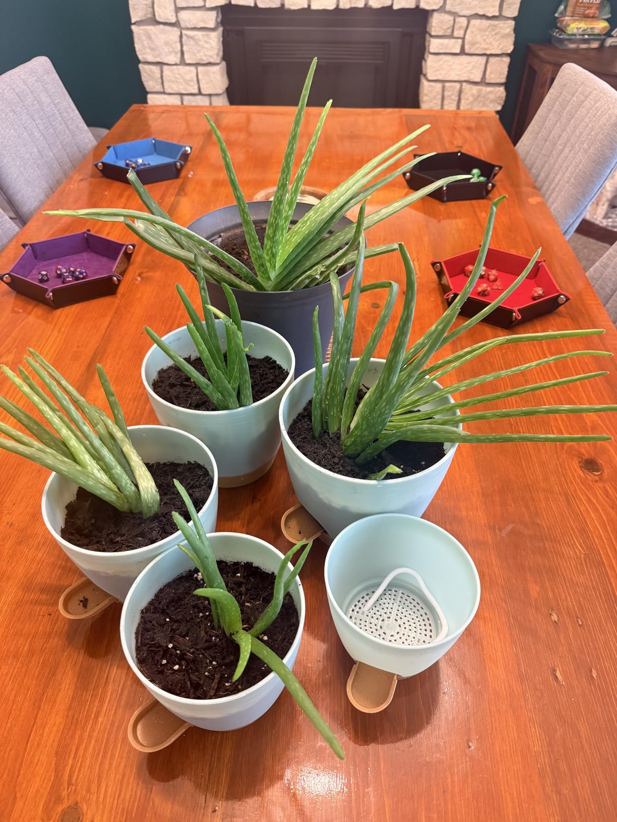 Utopia Home Self Watering Pots for Indoor Plants, Planters for Indoor Plants, Multi-Size Flowerpot, Set of 5 Plant Pots with Drainage & Reservoir, 6.8