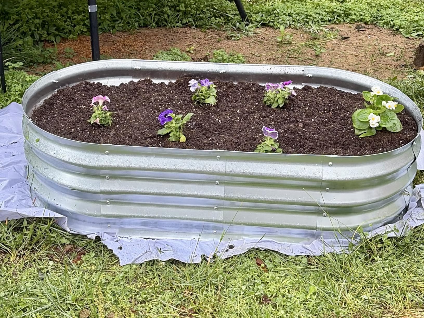 Galvanized Raised Garden Bed Kit, Planter Garden Boxes Outdoor, Oval Large Metal for Vegetables Fruits, Flowers Planter Boxes, Easy Assembly Garden Bed Kit (Silver, 4x2x1FT (2-Pack) customer photo 1