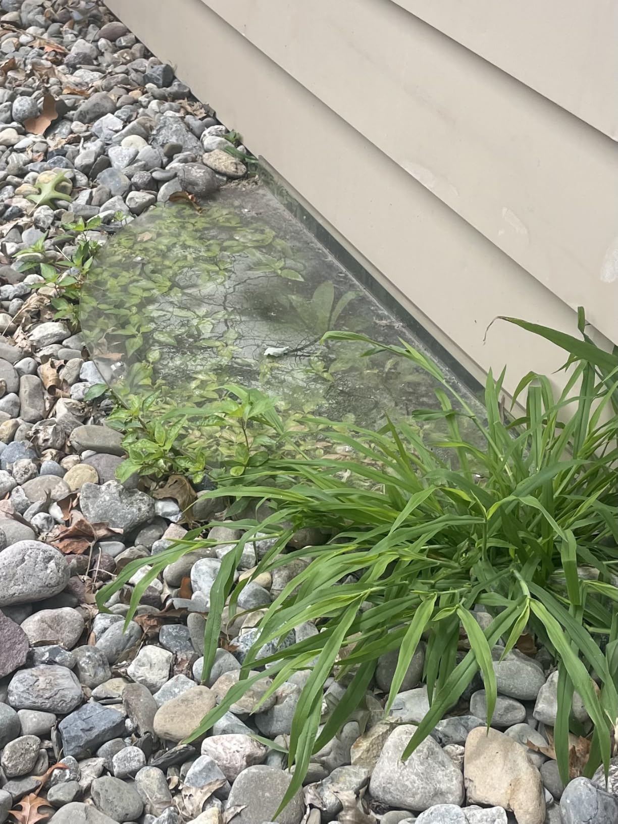 Clear Window Well Covers Outside 39