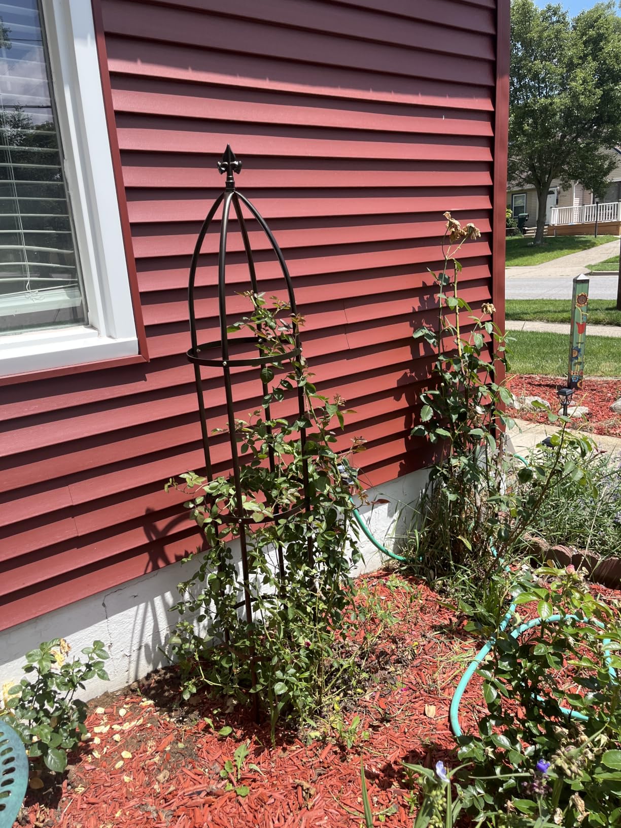 Garden Obelisk Trellis 100% Metal Heavy Duty 5.5 ft for Climbing Vines | Upgraded 16mm Thick Steel Tubes Bronze Rustproof Tower, Medium Plant Support Stands for Flowers, Roses, Clematis & Tomatoes customer photo 1