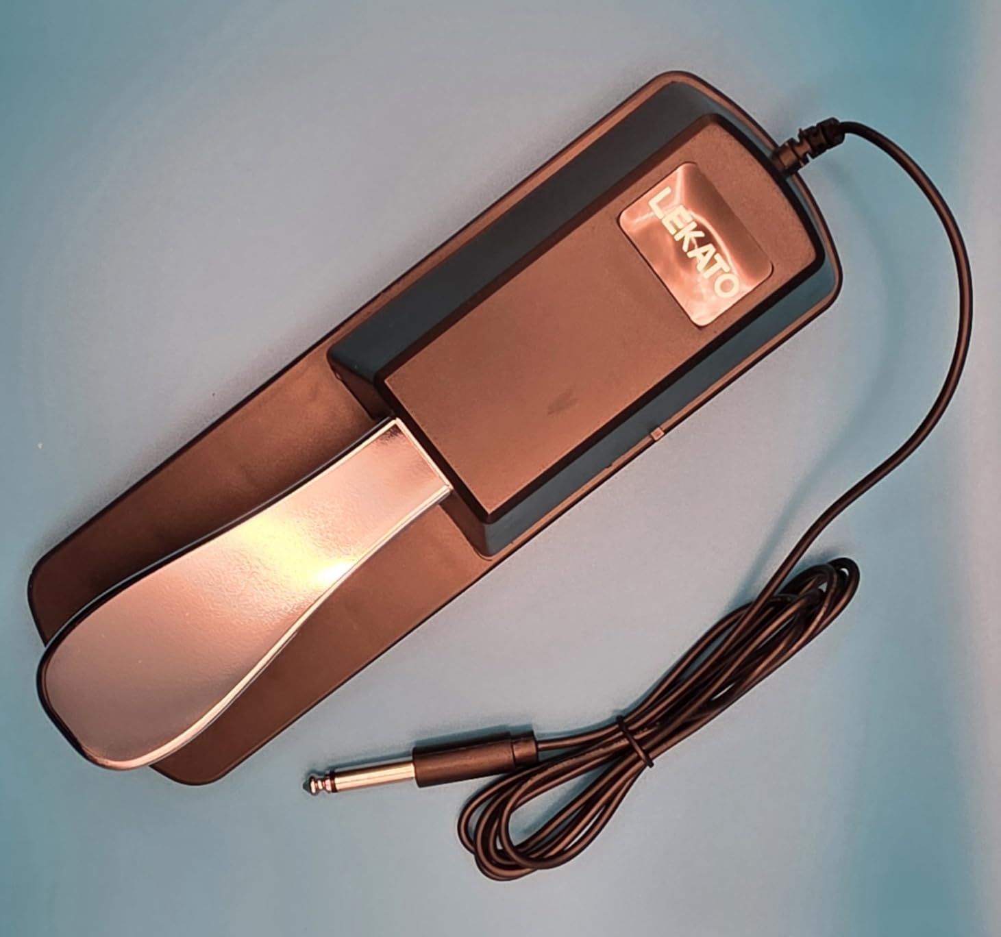 LEKATO Sustain Pedal for Keyboard, Universal Sustain Pedal with Polarity Switch, 1/4'' 6.35mm TS Input Plug, Fit for Most Electronic Keyboard Digital Piano, for Yamaha Casio Roland Korg Behringer Moog customer photo 2