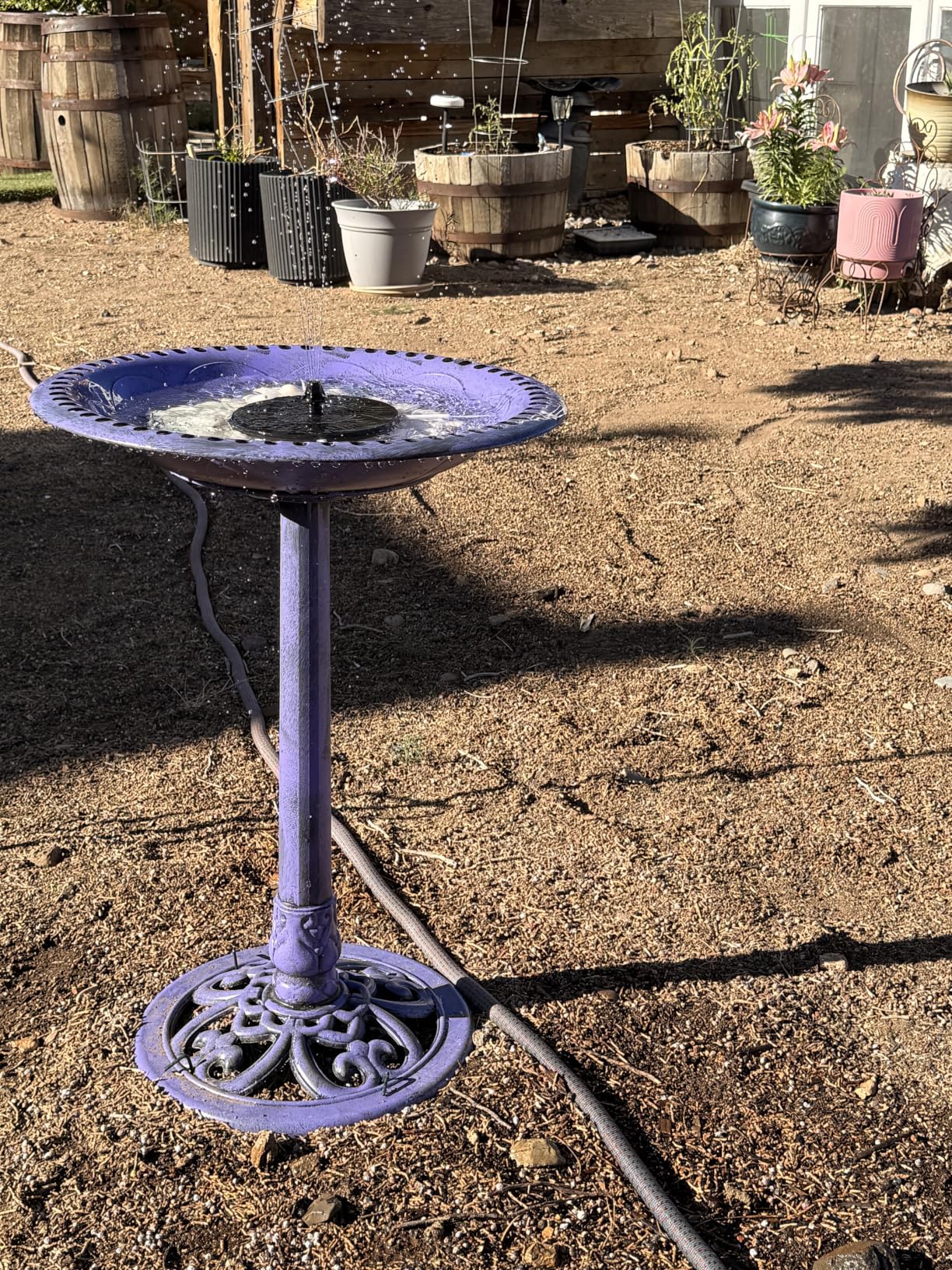 Backyard Expressions Outdoor Garden Bird Bath - Mint Green - Weather Resistant Polyresin - 27 Inch customer photo 1