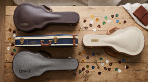 best mandolin cases