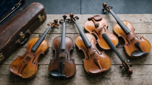 best fiddles under 500