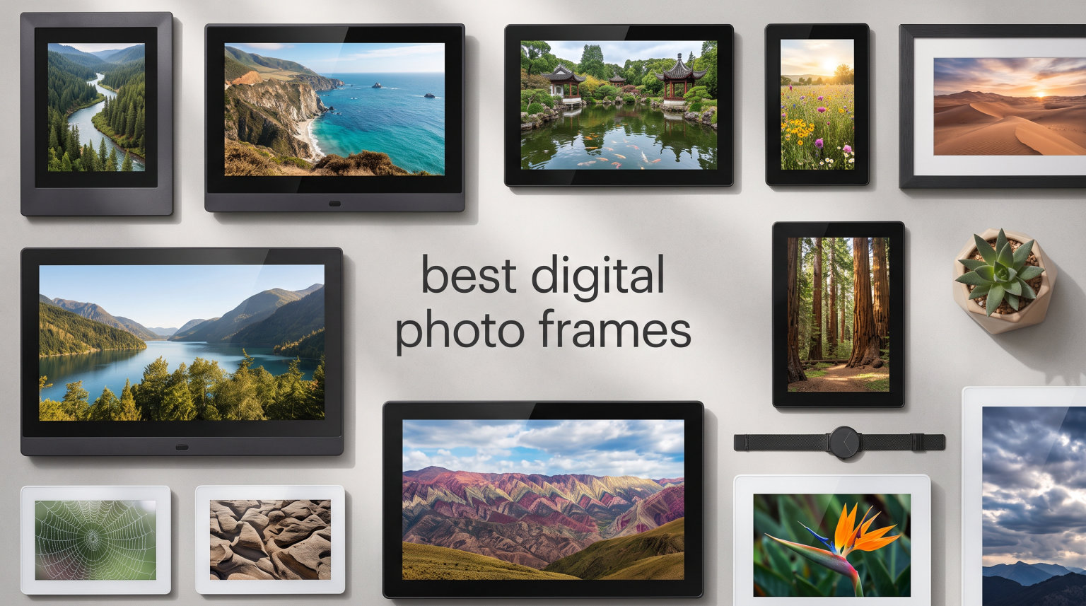 best digital photo frames
