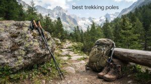 best trekking poles