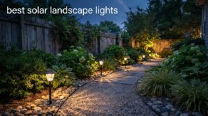 best solar landscape lights
